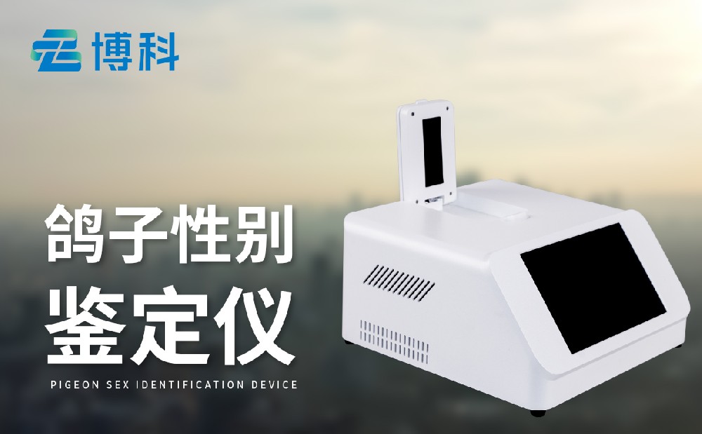 鸽子性别测定仪 鸽子性别测定仪