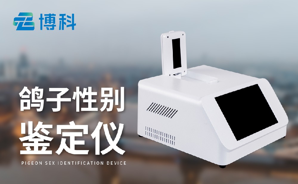 鸟类性别检测仪